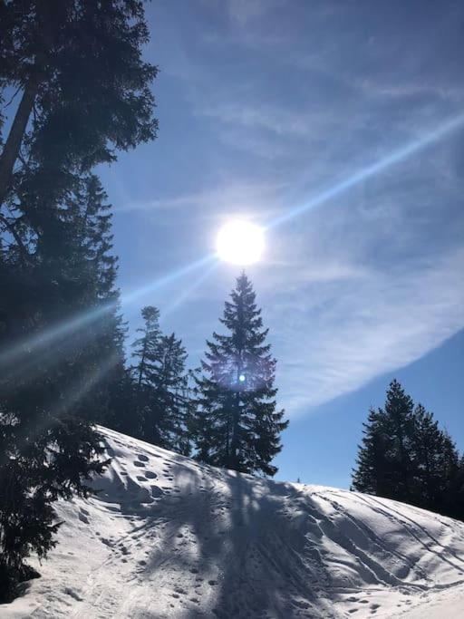 Sonniges Apartment In Seefeld Seefeld in Tirol Bagian luar foto
