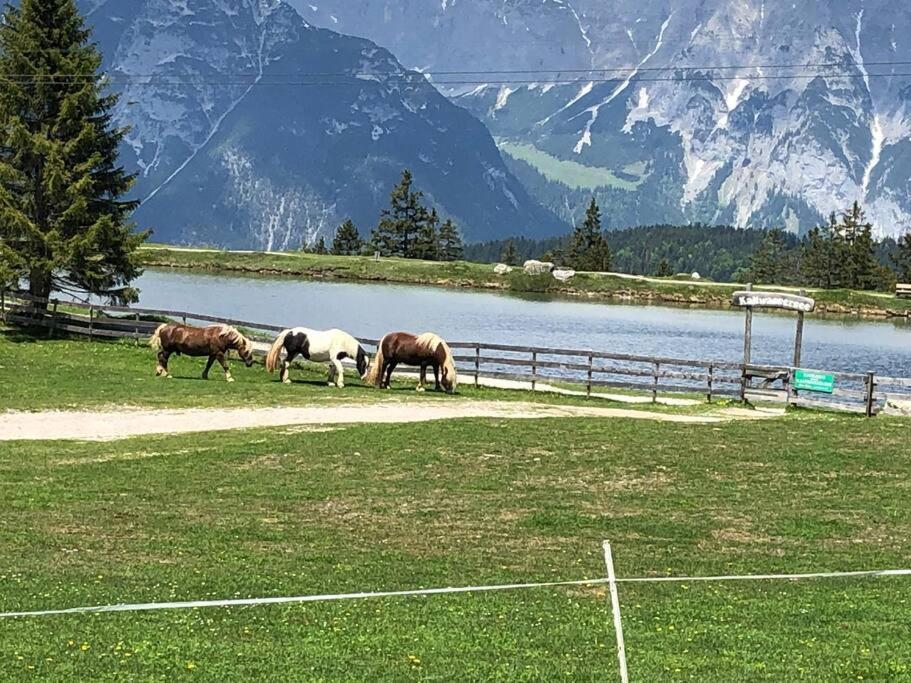 Sonniges Apartment In Seefeld Seefeld in Tirol Bagian luar foto