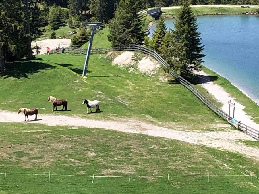 Sonniges Apartment In Seefeld Seefeld in Tirol Bagian luar foto